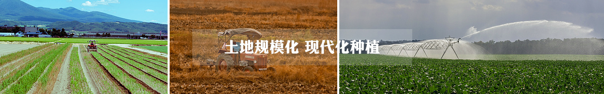 国产人妻人伦AV又粗又一长